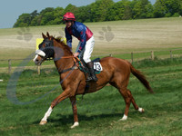 picture-5