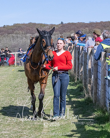 Race 5 - The restricted (19 of 113)