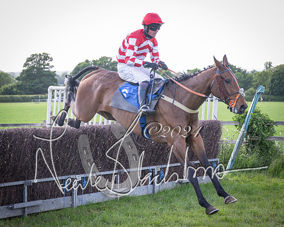 Race 6 - Thorn Plant Hire Maiden Race (95 of 129)