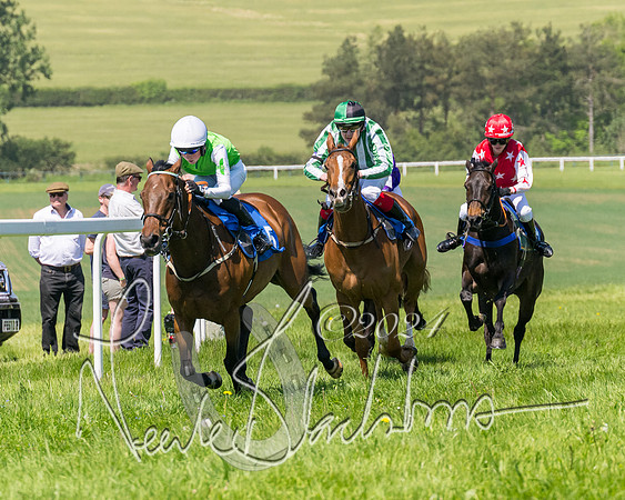 Pony Races  (73 of 141)