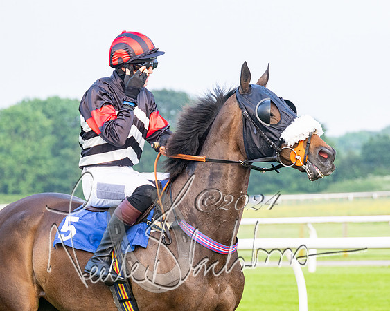 Race 5 - Peter Wright Handicap (34 of 117)