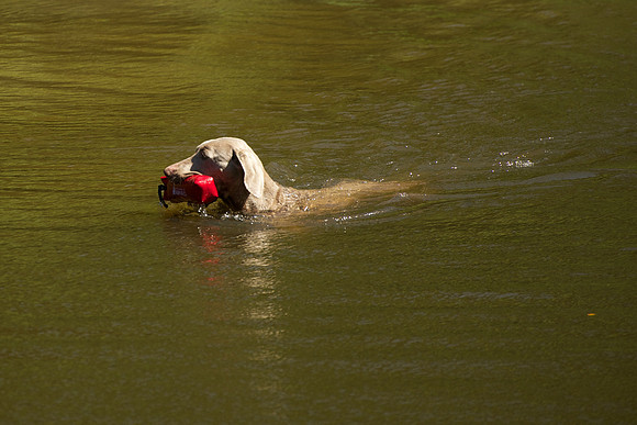 WCGB-04AUG-2013 Water Training Day 168