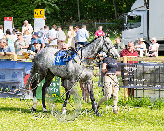 Race 5  - Maiden race 2m5F Div-1 (34 of 197)