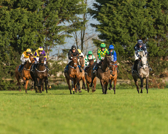 Race 4 - Novice riders (73 of 147)