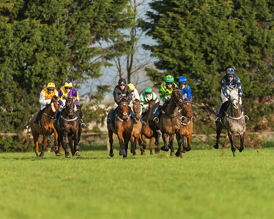 Race 4 - Novice riders (74 of 147)
