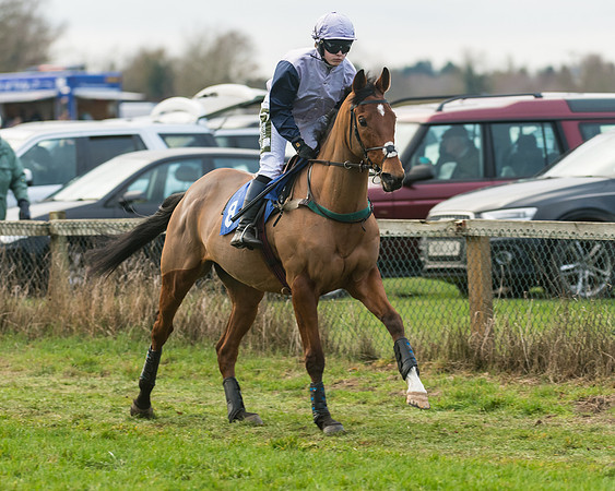 Race 5 - Ladies Open (13 of 67)