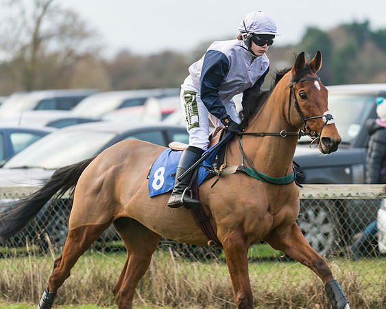 Race 5 - Ladies Open (14 of 67)