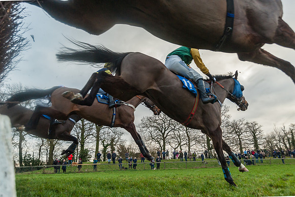Race 5 - Ladies Open (30 of 67)