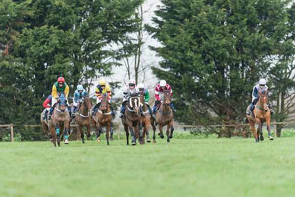 Race 5 - Ladies Open (32 of 67)