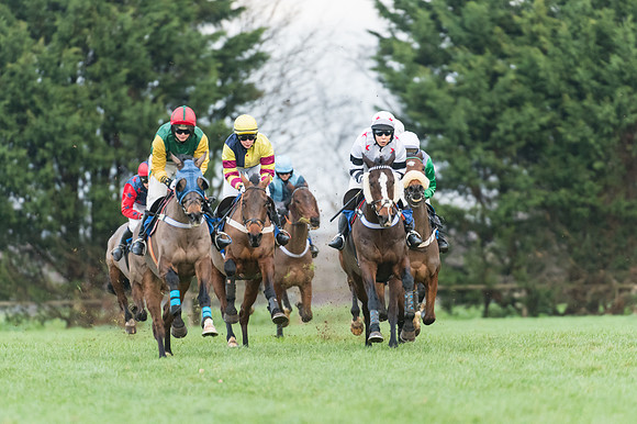 Race 5 - Ladies Open (35 of 67)