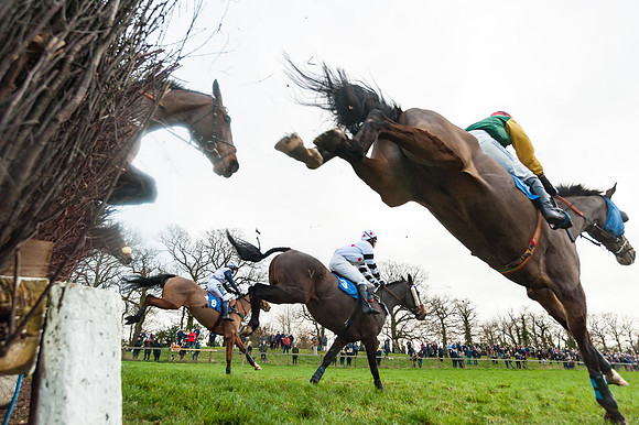 Race 5 - Ladies Open (45 of 67)