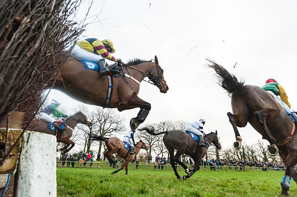 Race 5 - Ladies Open (46 of 67)