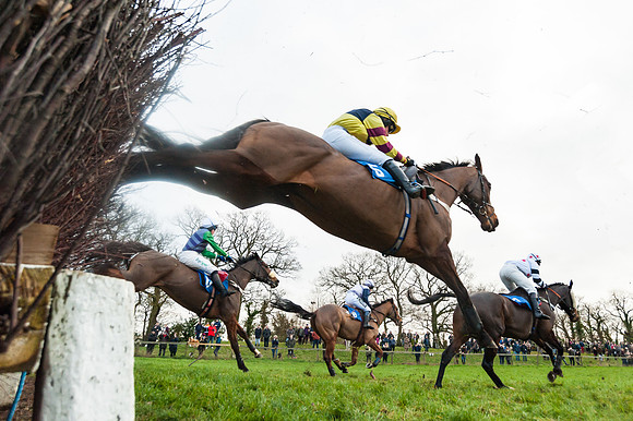 Race 5 - Ladies Open (47 of 67)
