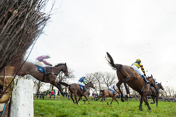 Race 5 - Ladies Open (49 of 67)