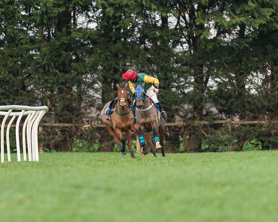 Race 5 - Ladies Open (50 of 67)