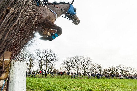 Race 5 - Ladies Open (56 of 67)