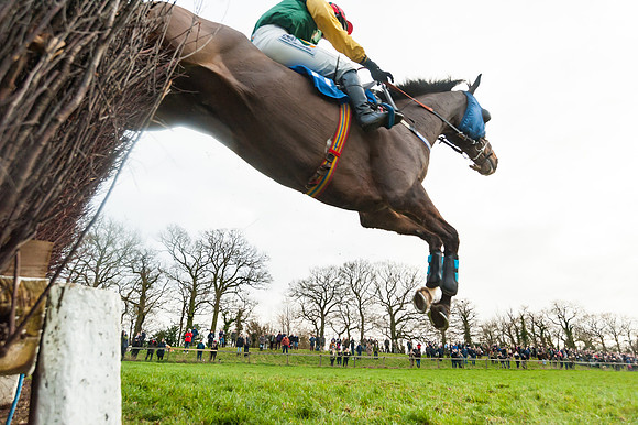 Race 5 - Ladies Open (57 of 67)