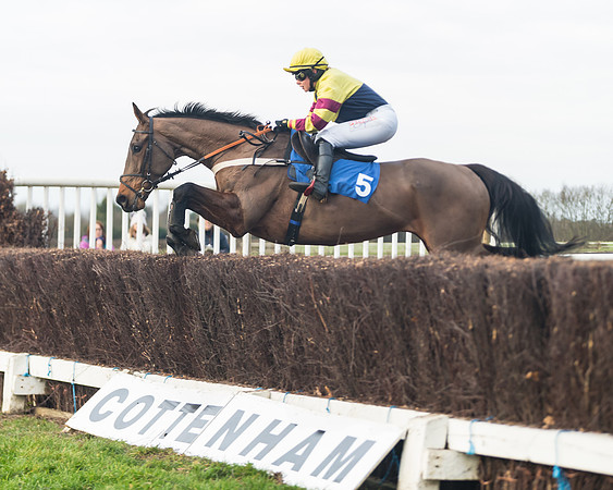Race 5 - Ladies Open (60 of 67)