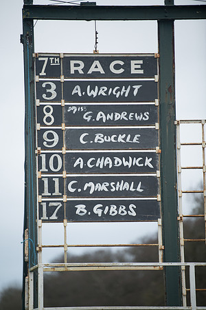 Race 7 - Young Horse Maiden (1 of 61)