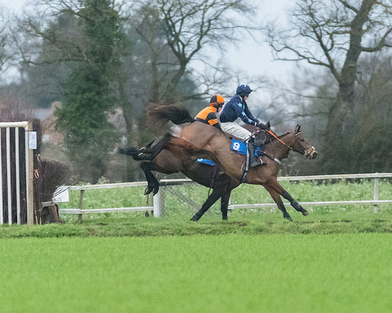 Race 7 - Young Horse Maiden (5 of 61)