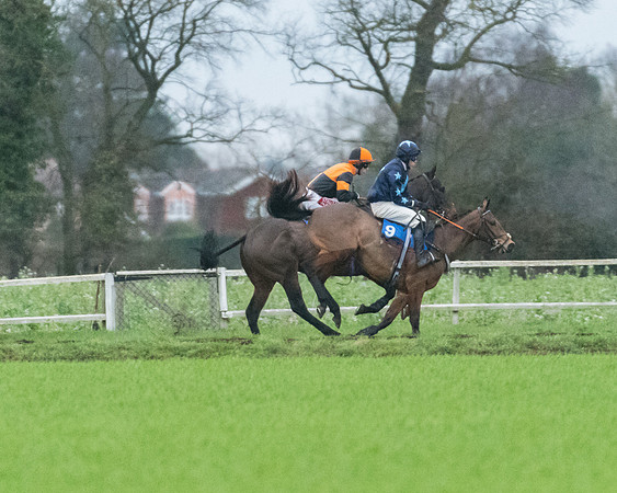 Race 7 - Young Horse Maiden (6 of 61)