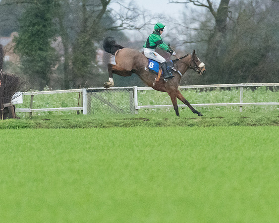 Race 7 - Young Horse Maiden (9 of 61)