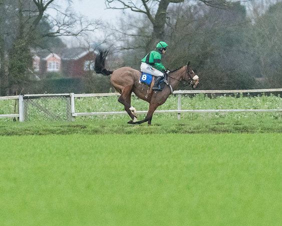Race 7 - Young Horse Maiden (10 of 61)