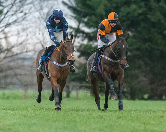Race 7 - Young Horse Maiden (12 of 61)