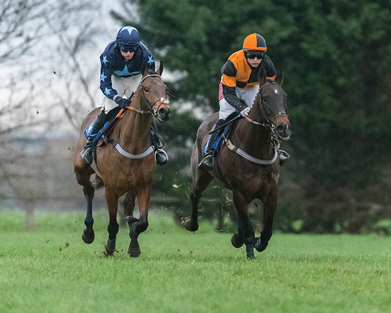 Race 7 - Young Horse Maiden (13 of 61)