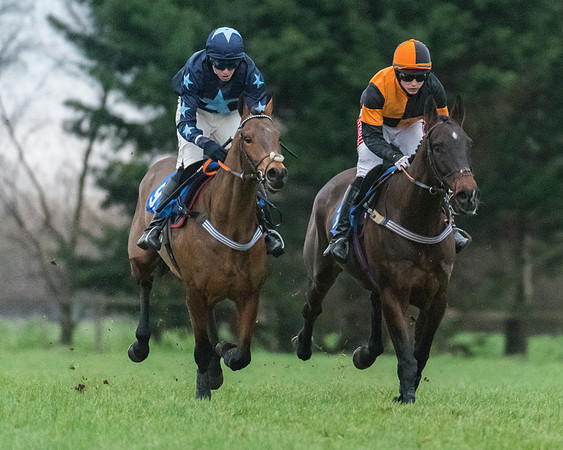 Race 7 - Young Horse Maiden (16 of 61)