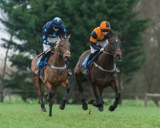 Race 7 - Young Horse Maiden (17 of 61)