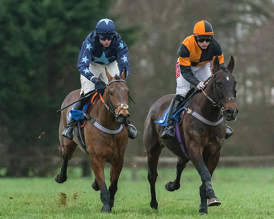 Race 7 - Young Horse Maiden (19 of 61)