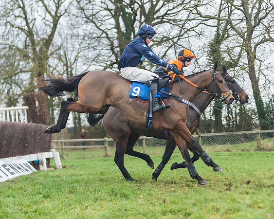 Race 7 - Young Horse Maiden (24 of 61)