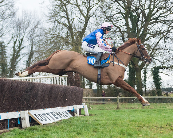Race 7 - Young Horse Maiden (39 of 61)