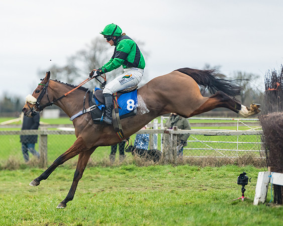 Race 7 - Young Horse Maiden (49 of 61)
