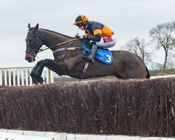 Race 7 - Young Horse Maiden (57 of 61)