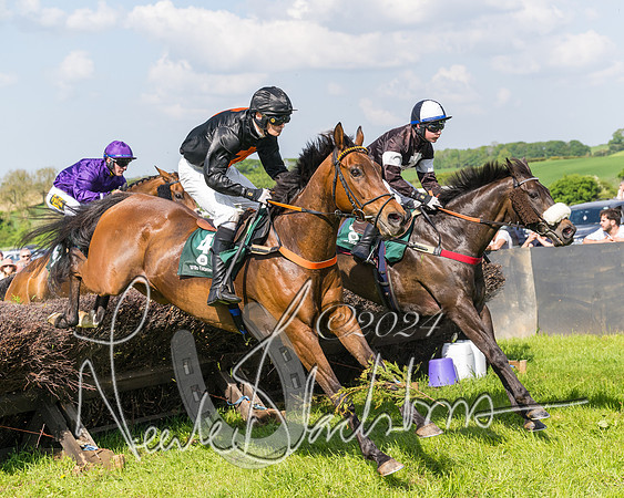 Race 4 - PPORA Novice Riders Final  (183 of 362)