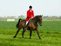 Ponies and Hounds 10