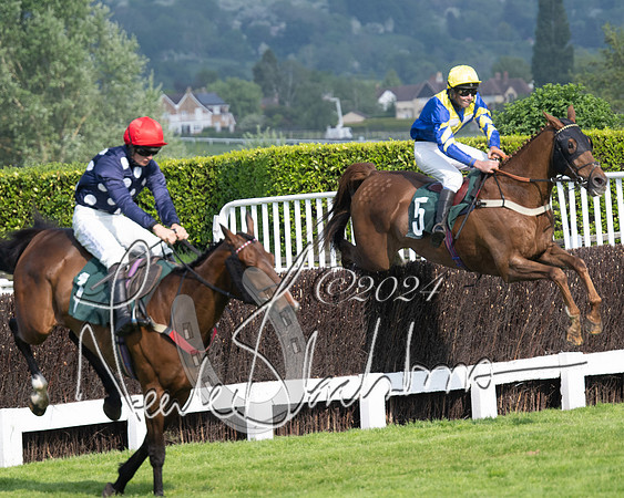 Race 1 - The Bottle Green Open Hunters steeplechase 2m62y (59 of 93)