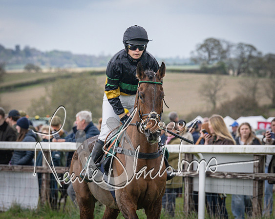Race 1 - Hunt members subscribers and farmers race (44 of 119)