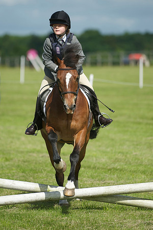 SOHS PC Summer Show at BCA 17th June 2012
