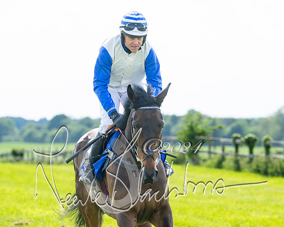 Race 5  - Maiden race 2m5F Div-1 (57 of 197)