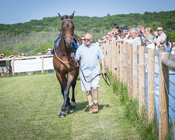 Race 5 - The Richardsons Accountants Maiden Race (7 of 155)