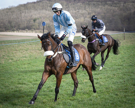 Race 1 - Four and Five year Old Maiden (56 of 137)