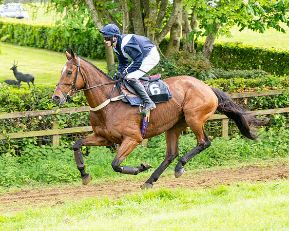 Race 5  - Novice riders (45 of 188)