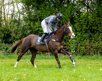 Race 3 - Young Horse Maiden (6 of 216)