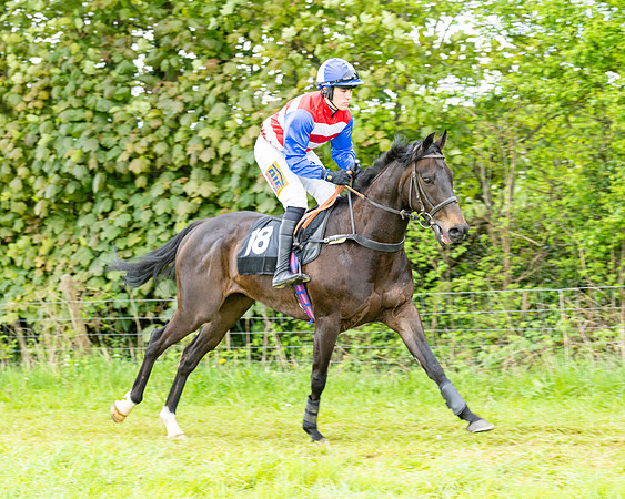 Race 2 - 2M4F Conditions (44 of 195)