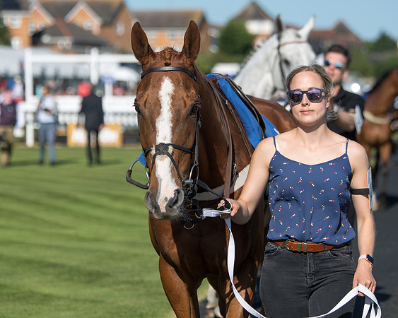 Race 1 - PPSA Open Hunter chase (4 of 78)