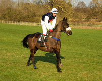 Race 8 -  1