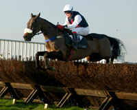 Race 8 -  24